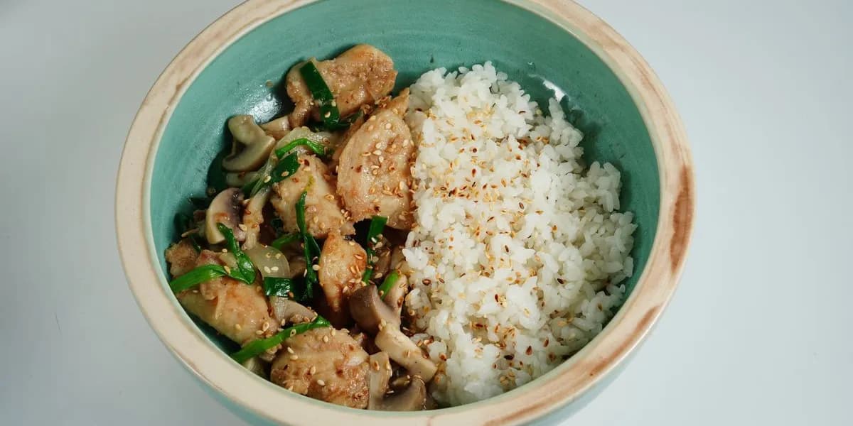 Home-style chicken with rice in a ceramic bowl — decorative stock image