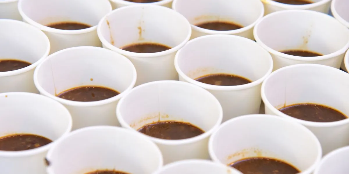 Rows of plain white paper cups filled with dark tea — decorative stock image