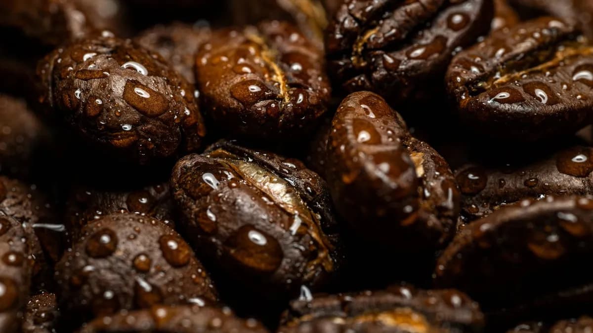 Detailed macro shot of wet coffee beans with water droplets highlighting texture.