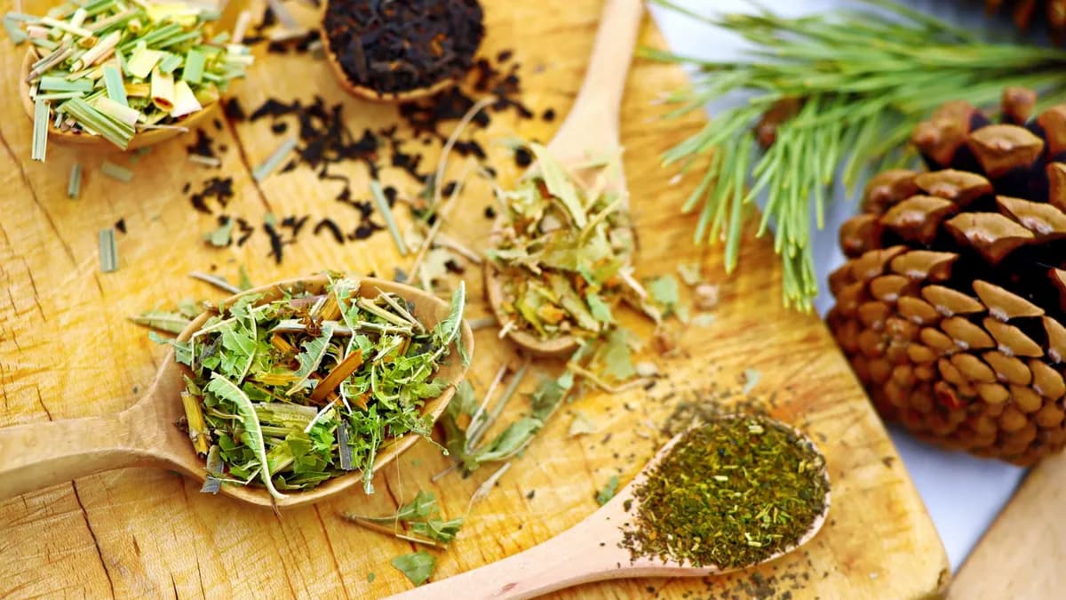A variety of herbal teas displayed on wooden spoons, set against a rustic wooden board with pine cones.
